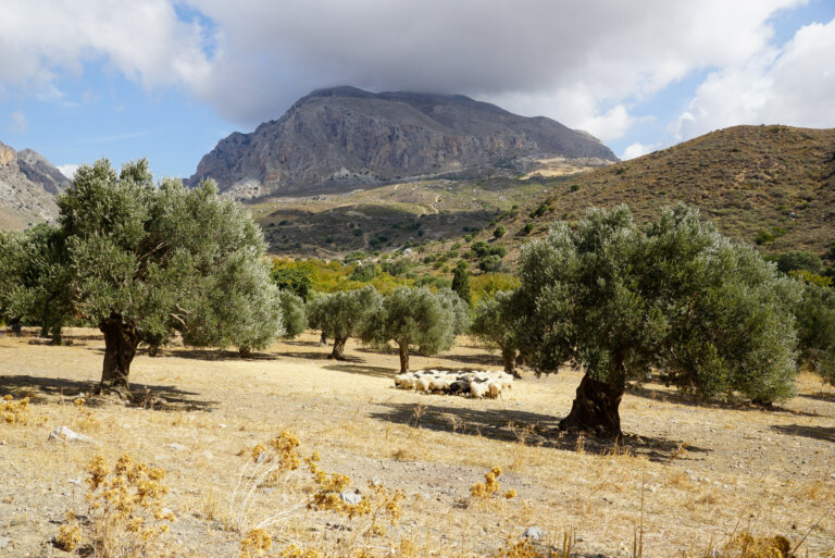 Kreta