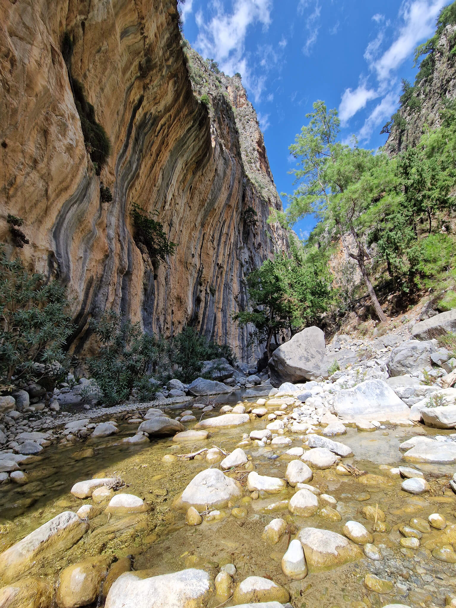 Image gallery image